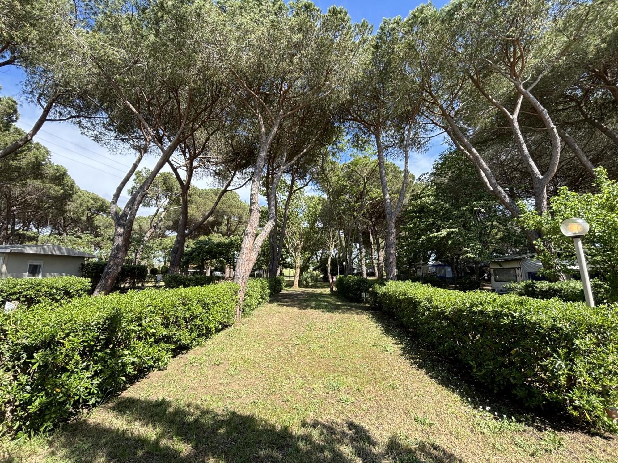 Costa D'Argento - Camping Village Club Capalbio Ngoại thất bức ảnh