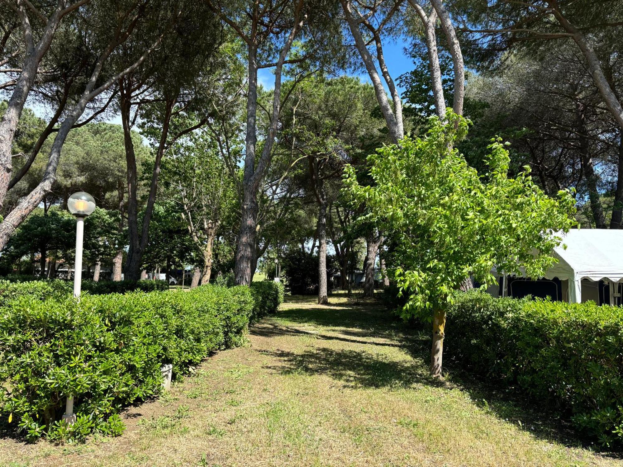 Costa D'Argento - Camping Village Club Capalbio Ngoại thất bức ảnh